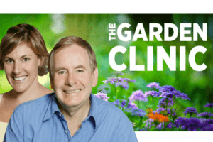 The Garden Clinic